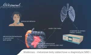 Test oddechowy wykrywa wodór i metan, pomagając zdiagnozować IMO i SIBO. Po spożyciu glukozy lub laktulozy, gazy te są mierzone.