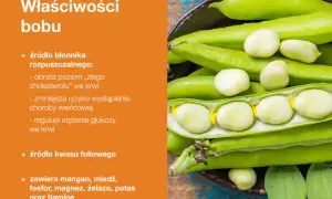 Bob to źródło błonnika, kwasu foliowego i minerałów. Niskie kcal, a wysokie wartości odżywcze.