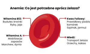 Anemia: co na anemię oprócz żelaza? Witamina B12, kwas foliowy, witamina A i miedź są kluczowe.