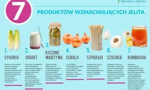 7 produktów wzmacniających jelita: cykoria, jogurt, kiszone warzywa, cebula, szparagi, czosnek, kombucha. Klucz do zdrowej kuracji jelitowo-metabolicznej.
