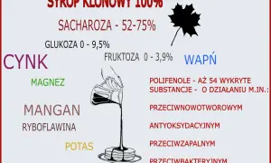 Syrop klonowy 100% zawiera cukry, minerały (cynk, magnez, mangan, potas, wapń) i polifenole. Warto sprawdzić syrop klonowy kcal.
