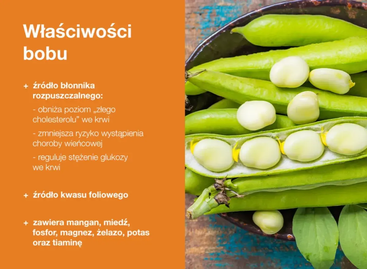 Bob to źródło błonnika, kwasu foliowego i minerałów. Niskie kcal, a wysokie wartości odżywcze.