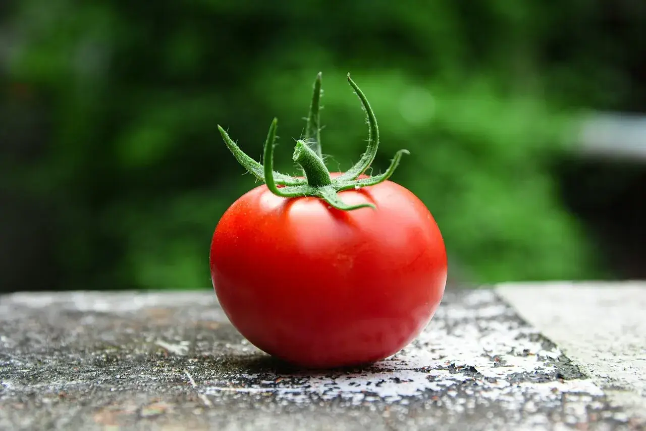 Czerwony pomidor na kamiennym blacie, idealny do zdrowej diety. Niskie pomidor kcal, wysoka zawartość witamin.