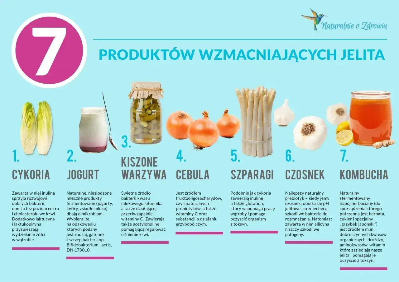 7 produktów wzmacniających jelita: cykoria, jogurt, kiszone warzywa, cebula, szparagi, czosnek, kombucha. Klucz do zdrowej kuracji jelitowo-metabolicznej.