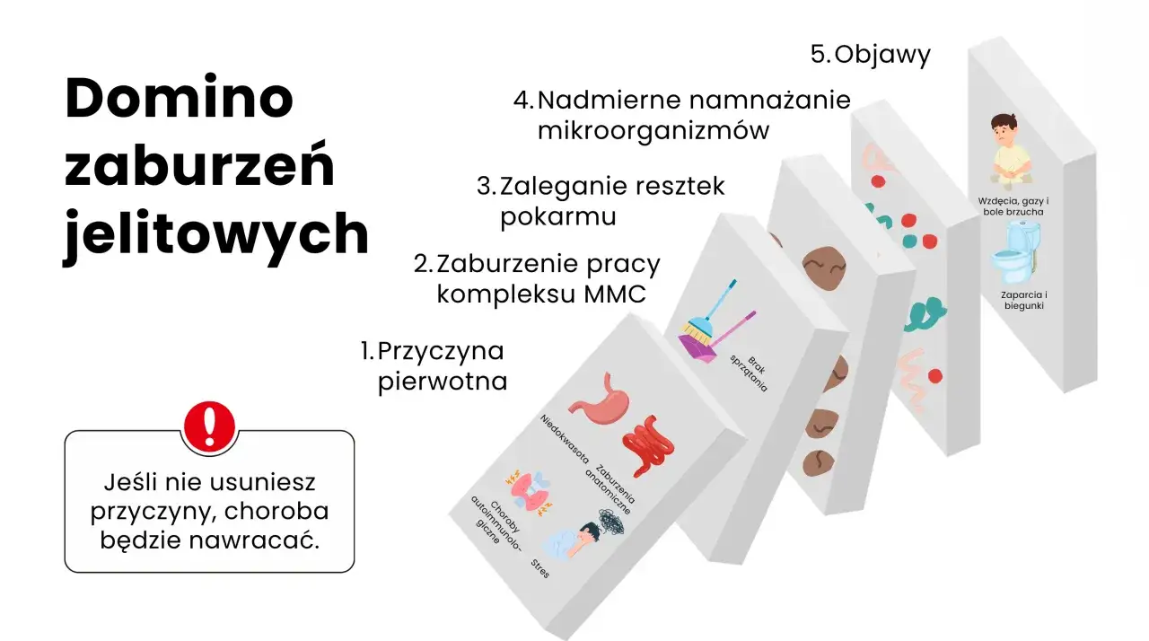 Domino zaburzeń jelitowych: od przyczyny pierwotnej, przez brak sprzątania, po objawy takie jak wzdęcia i biegunki.