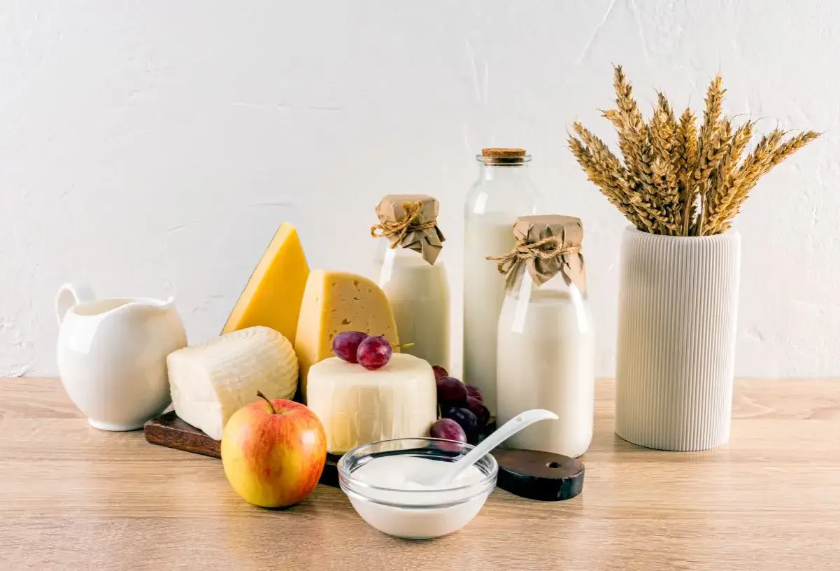 Sery, mleko, jogurt i jabłko. Czy to wszystko dla Ciebie? Sprawdź, czy masz nietolerancja laktozy test domowy.